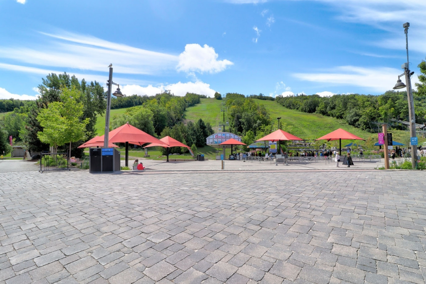 Blue Mountain Chalet