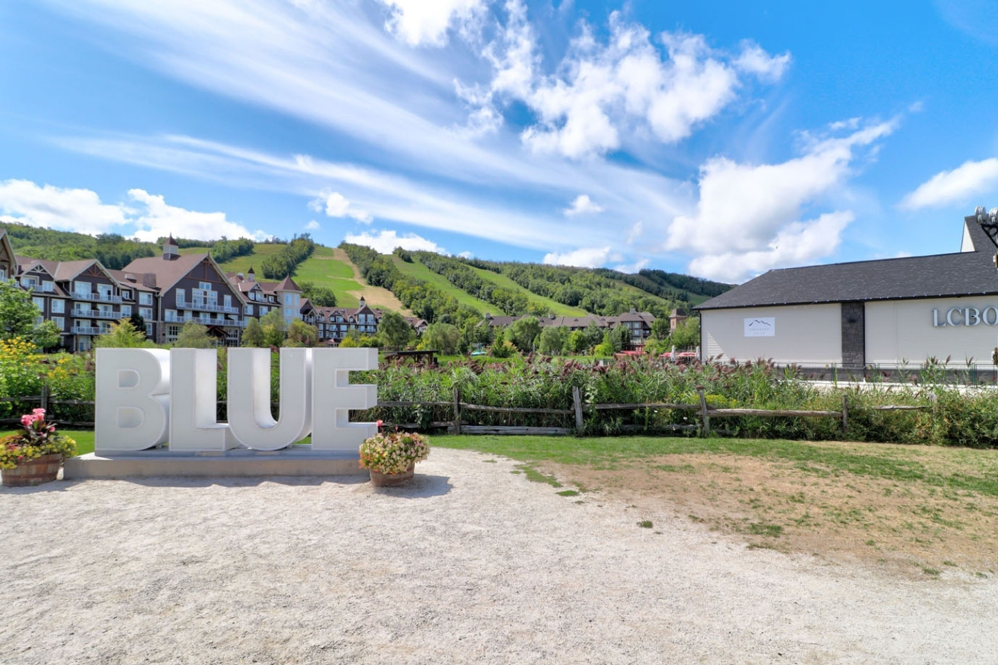 Blue Mountain Chalet