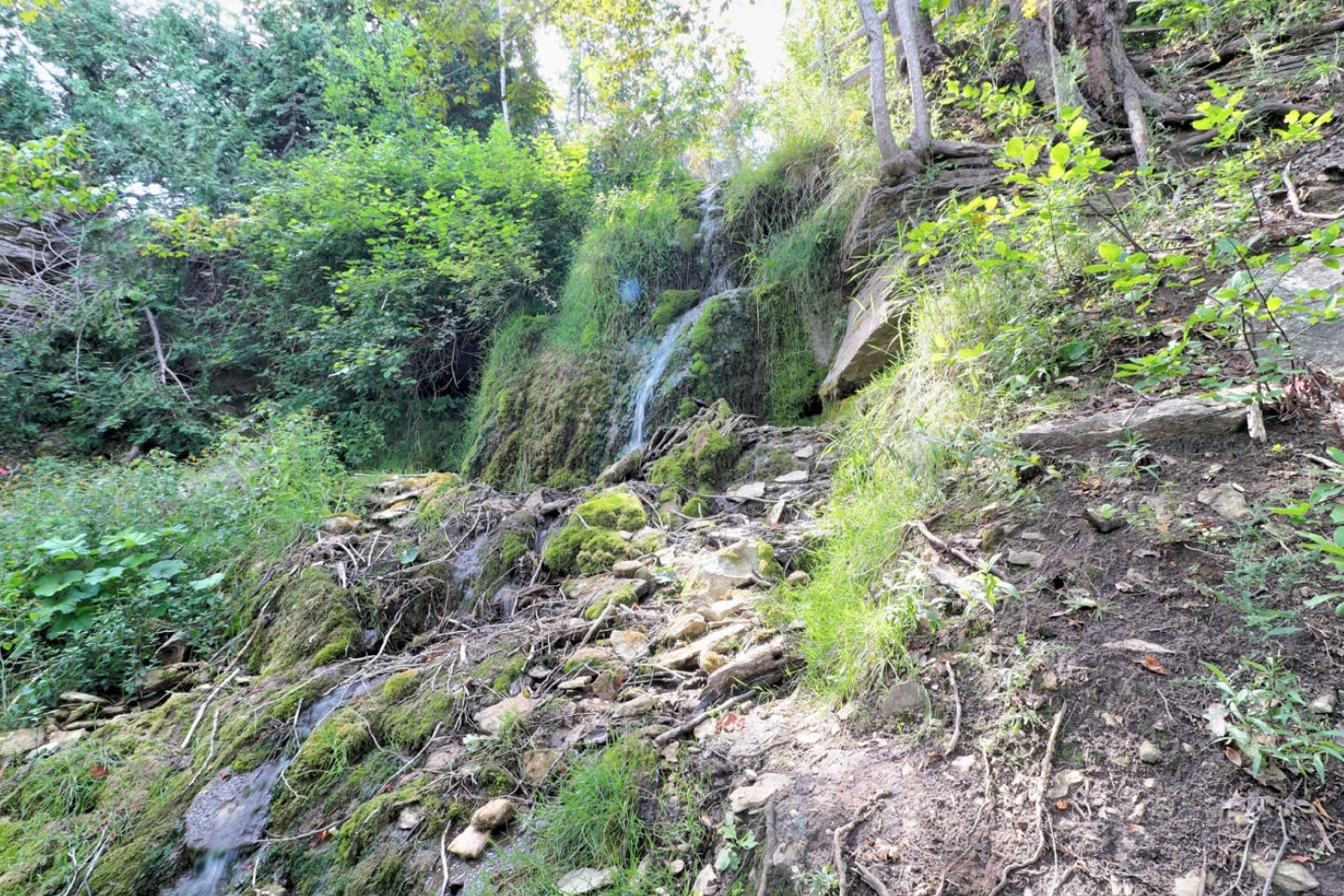 Blue Mountain Chalet