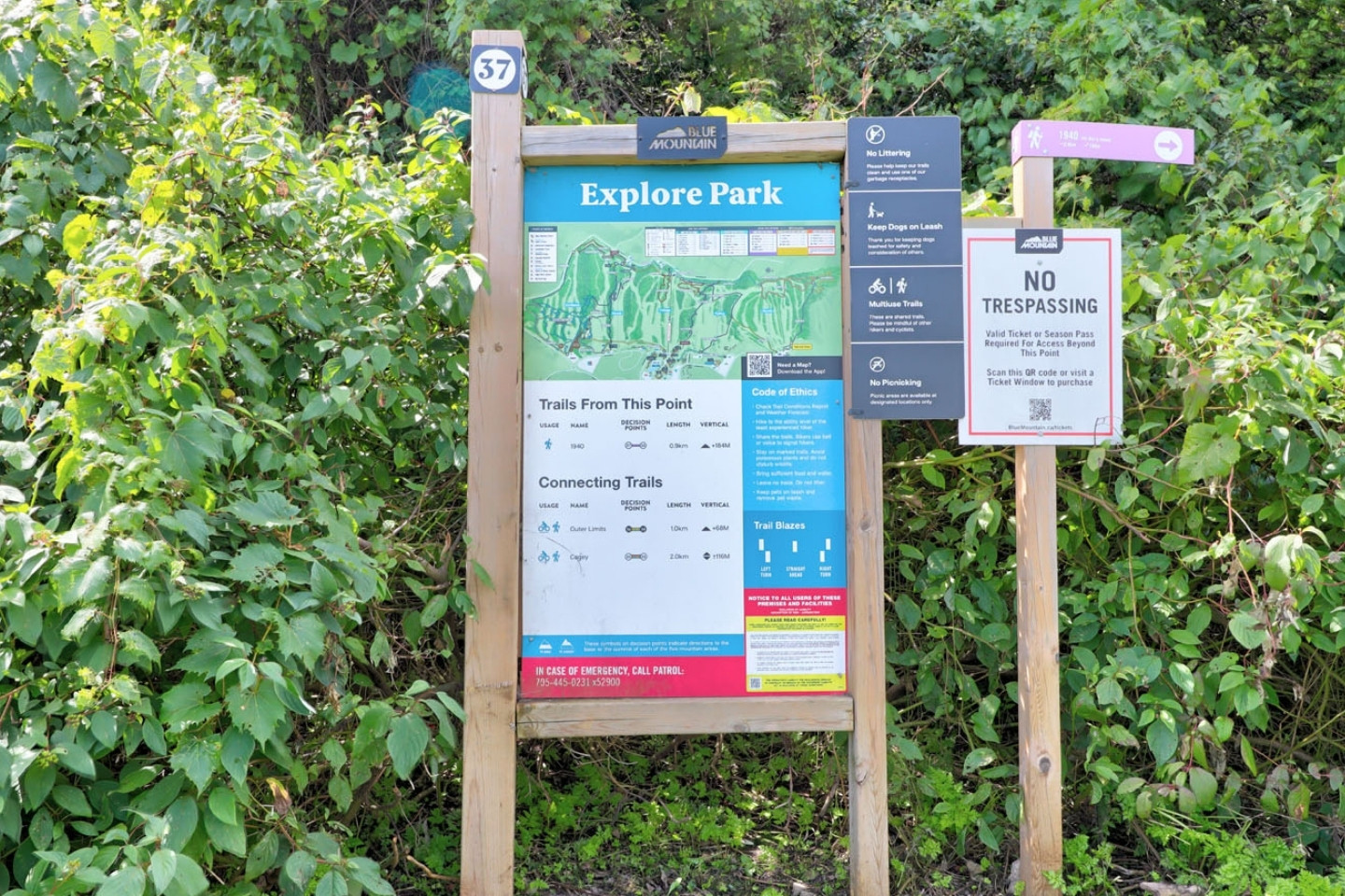 Blue Mountain Chalet