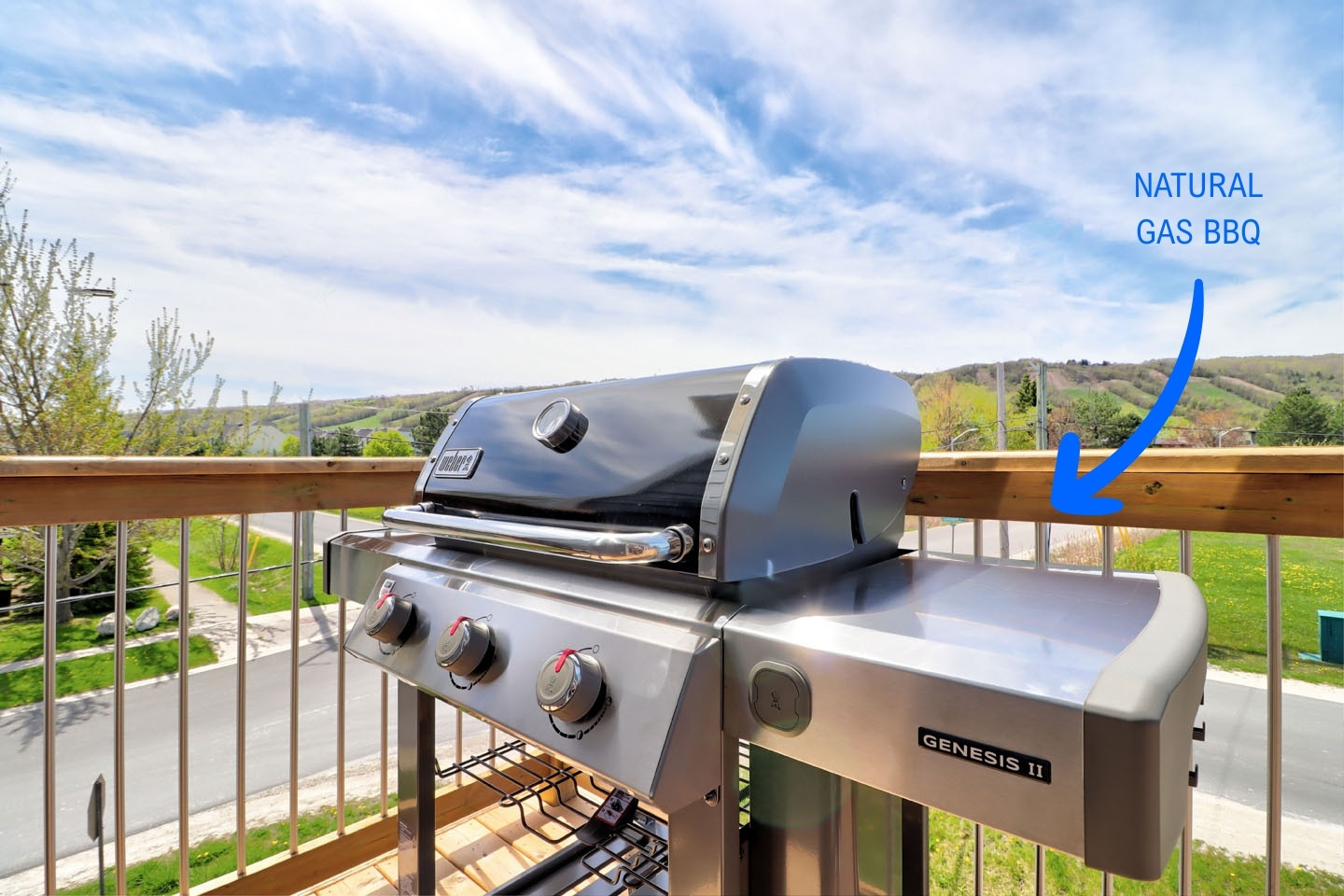 Blue Mountain Chalet