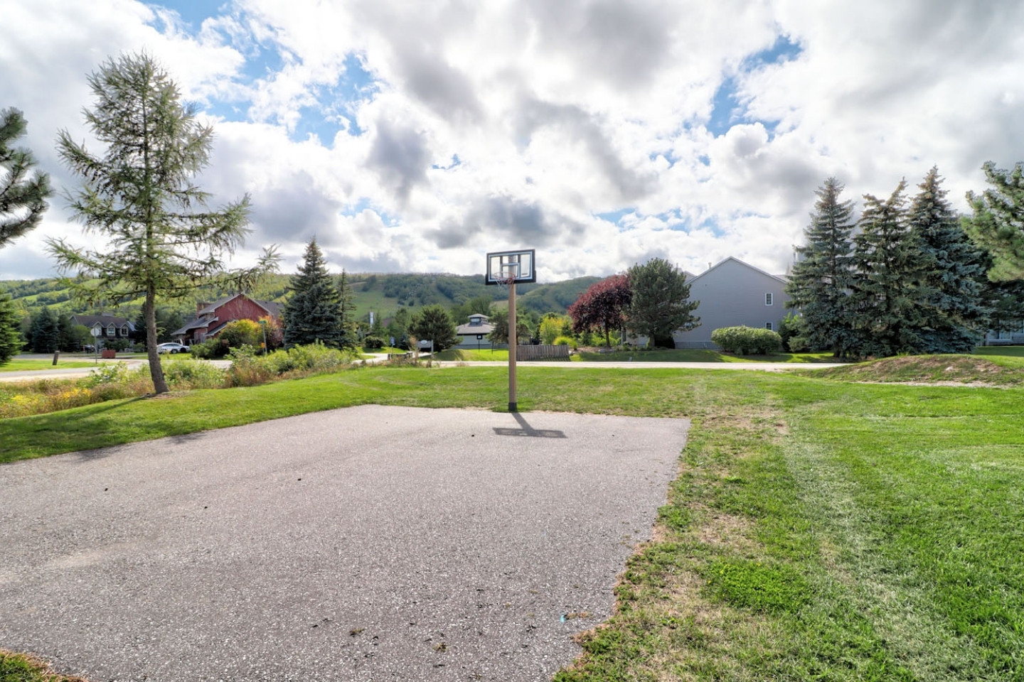 Blue Mountain Chalet