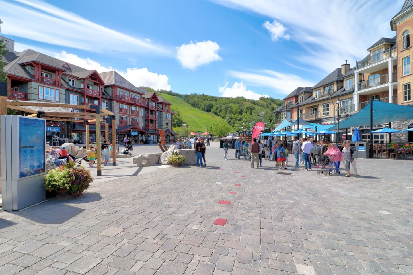 Blue Mountain Chalet