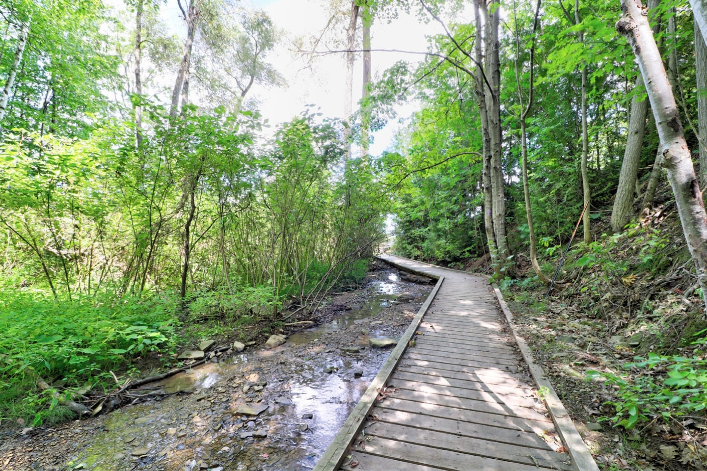 Blue Mountain Chalet