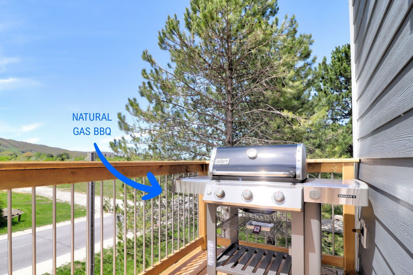 Blue Mountain Chalet