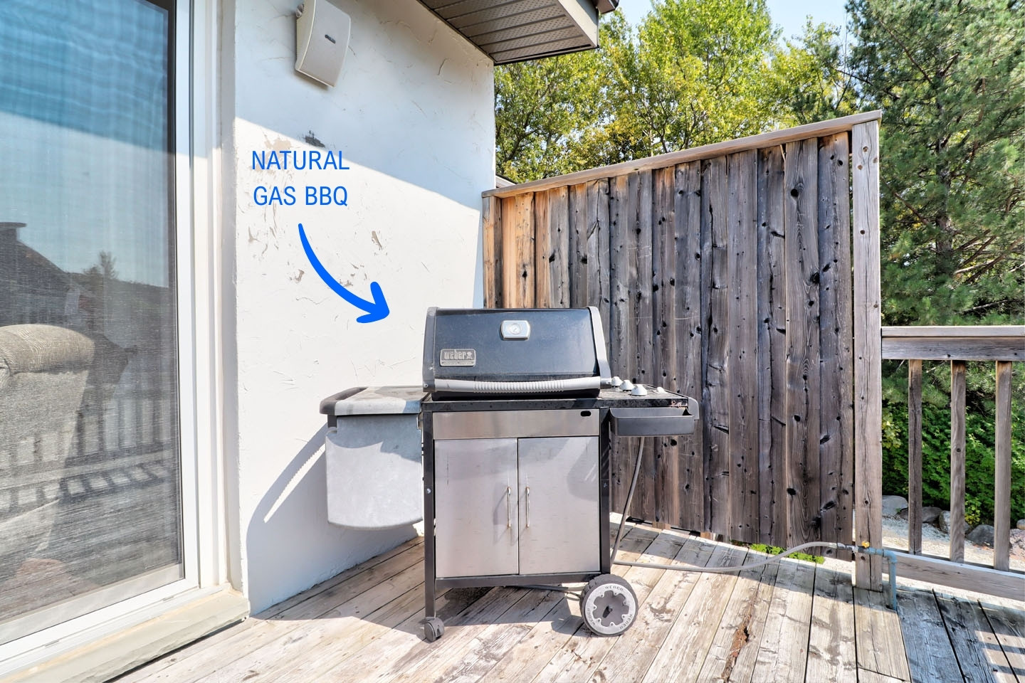 Blue Mountain Chalet