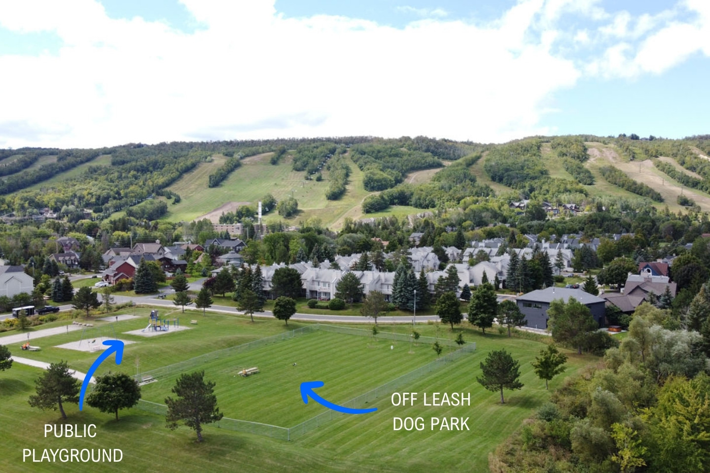 Blue Mountain Chalet